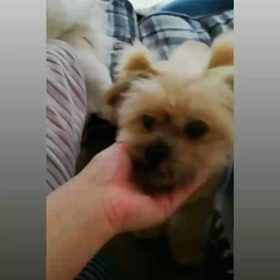 ♡おはよう♡の画像