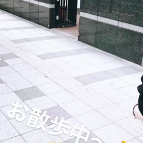 あーさんストーリー動画の画像