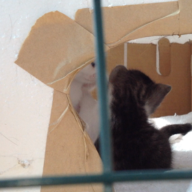 グーが最も幸せだったあの日あの時(動画)の画像