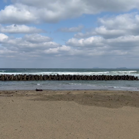 ランチの後にの画像