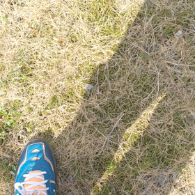 さあ歩こう❗️の画像