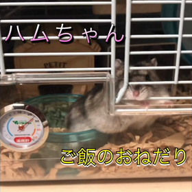 お腹すいたなぁ〜の画像