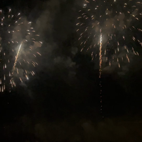 フェニックスを見て…の画像