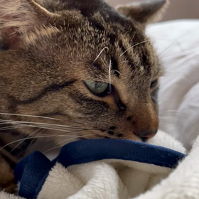 2022年10月12日(水)の画像