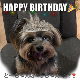 とーちゃんの誕生日の画像