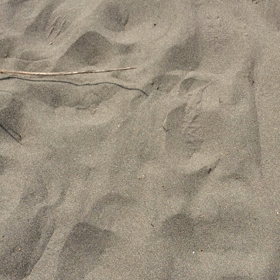 おさんぽ。の画像