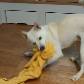 タオルが好き。愛をくれる人が好き。の画像