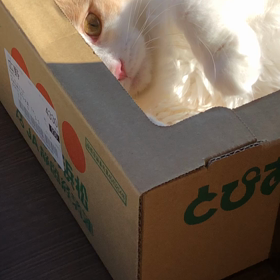 あぁ〜もう3日だね…。の画像