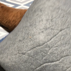 トリミングの画像