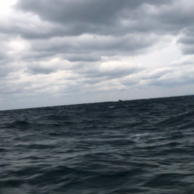 釣行予定！の画像