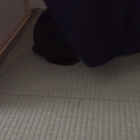 噛んだらダメの画像