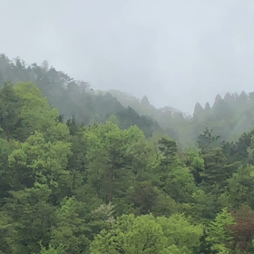 心から感謝 心から願いの画像