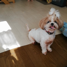 バッテリー⚾の画像