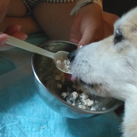 経過報告（一進一退）の画像