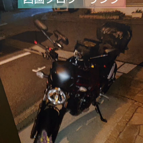 動画作ってみましたの画像