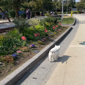 舞鶴公園→大濠公園→BIOTOPの画像