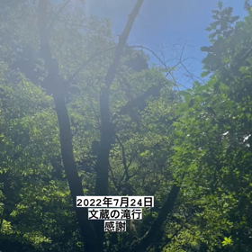 清らかな滝行に感じておりの画像