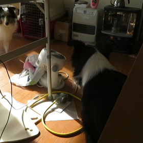 オマイら仲いいなの画像