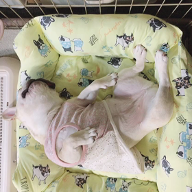 おはようの画像