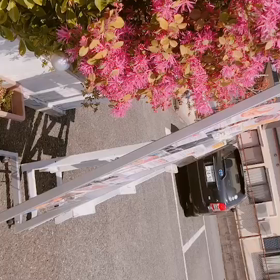 感性の高さに驚き！の画像