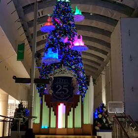 クリスマスがやってきた＼(^o^)／の画像