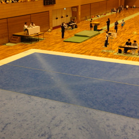 器械体操の画像