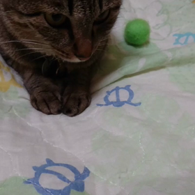 真夜中のお誘いの画像