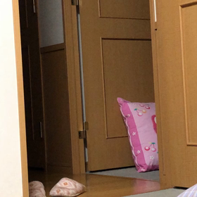 坂上いわく…夜の運動会？って楽しそうでいいのかなぁ？の画像