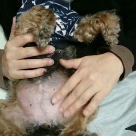 パパマッサージの画像