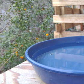 すぎぴたんの事件簿シーズン3　181話（華麗な着地！(*ﾟ▽ﾟﾉﾉﾞ☆ﾊﾟﾁﾊﾟﾁﾊﾟﾁﾊﾟﾁ）の画像