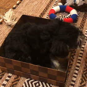 母の日に報告！の画像