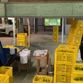 始まったよ〜ん。の画像