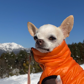 ジャム勝の画像