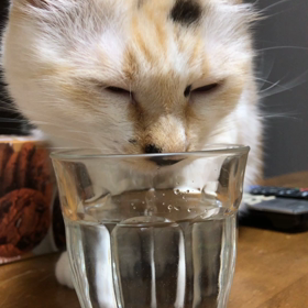 ヘアールームクローバー8/29(木)〜9/11(水)御予約情報の画像