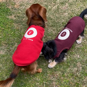 アンズの相手はつかれるデチの画像