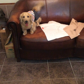 2016/04/02  ワチャワチャの画像