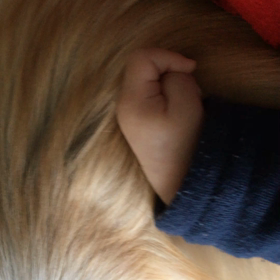 我慢強い子だの画像