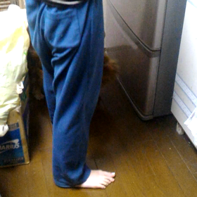 老いて益々元気!　我が家の愛犬、ルビー君の画像