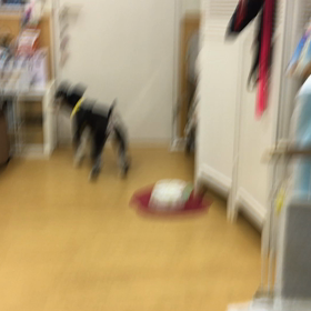 オヤツがあったら尚嬉しい。の画像