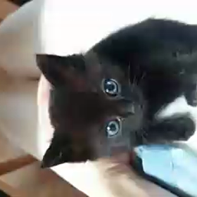 いきなり寝るのね。の画像