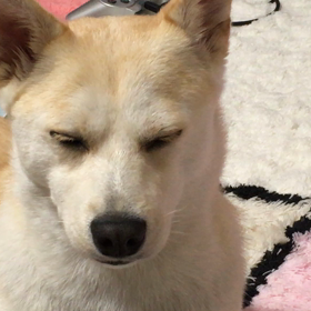 今日は暖かいの画像