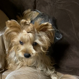 毎晩謎の行動の画像