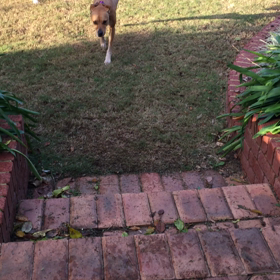 そこが安心できる場所の画像