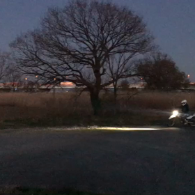 幽霊?？　　白い光？の画像