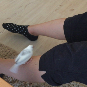 スルスルっとすべり台の画像