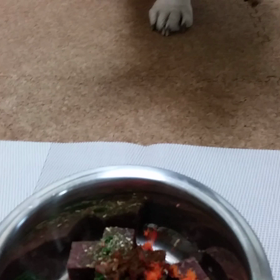 ごはん食べる子、手をあげて！の画像