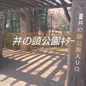 井の頭公園の画像