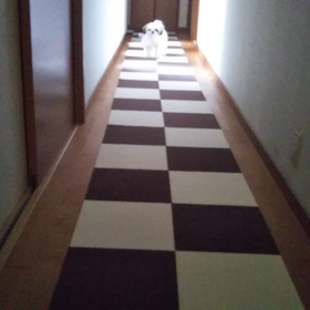 やんちゃ盛り(*￣∇￣)&心労が尽きない(´・ω・`)の画像