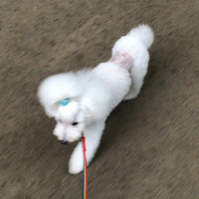 ♪お散歩動画♪代々木公園♪の画像