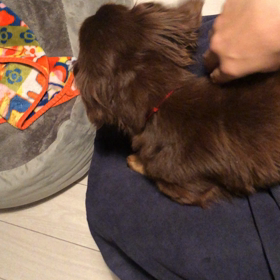 やめないで！の画像